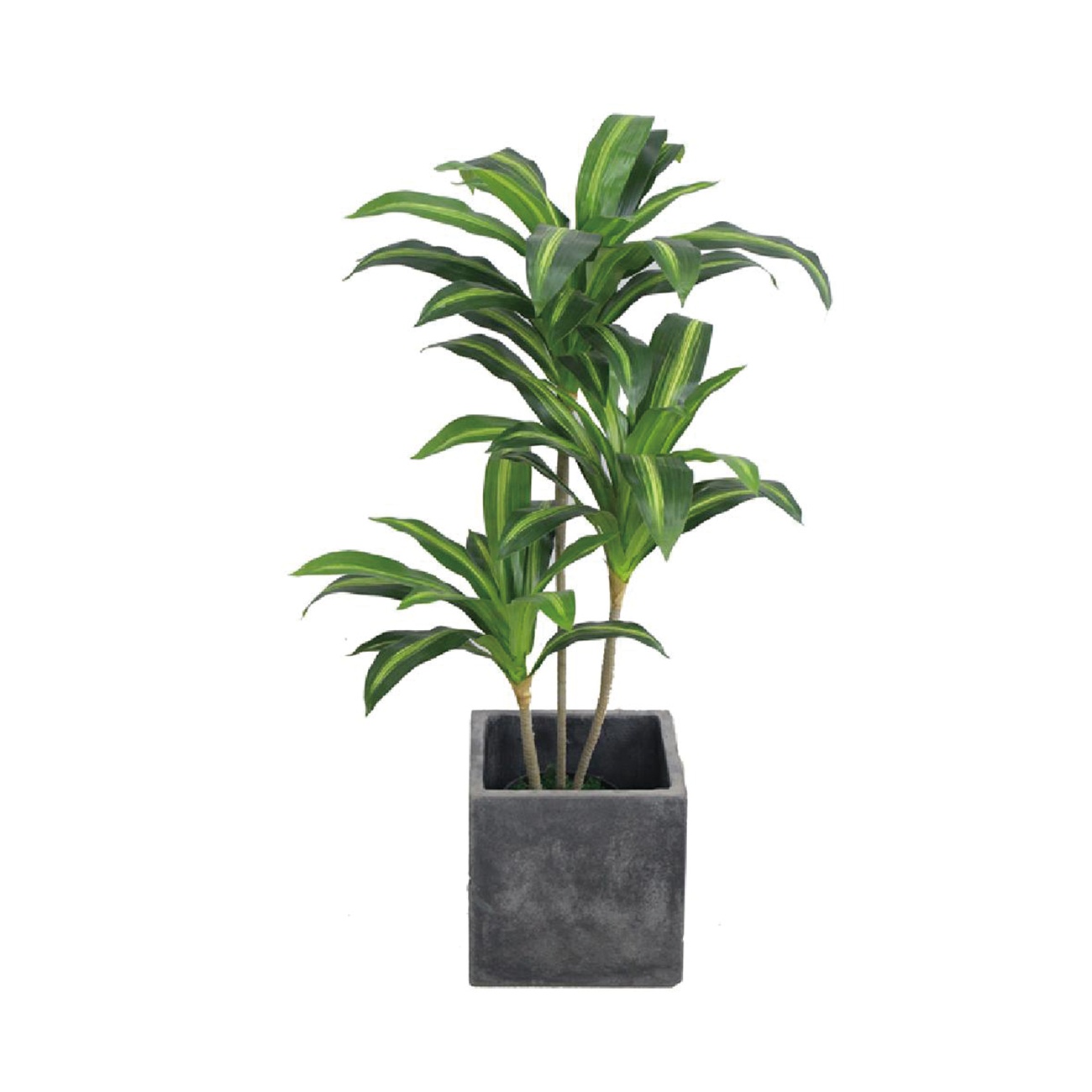 人造植物