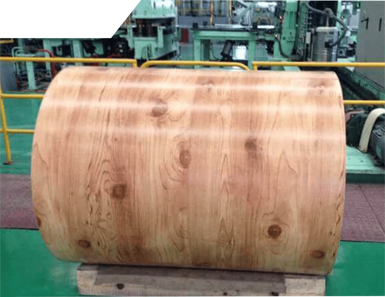Prepainted Steel Coil