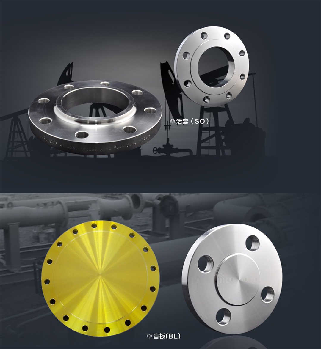 Fitting(Flange)