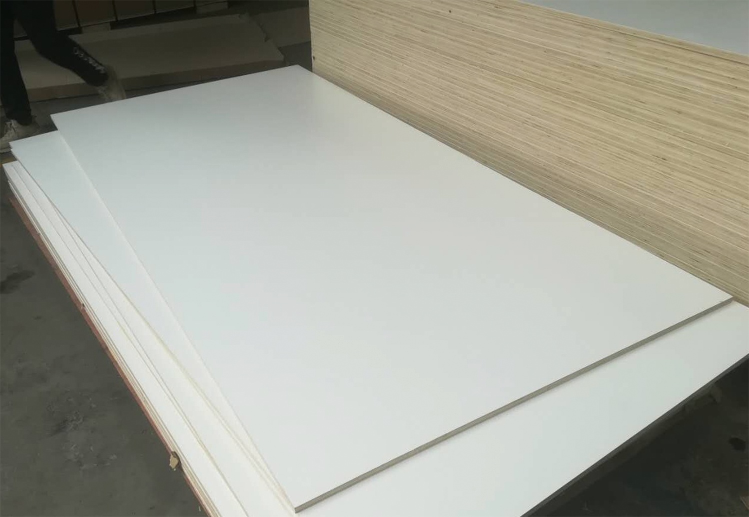 Melamine Face Plywood