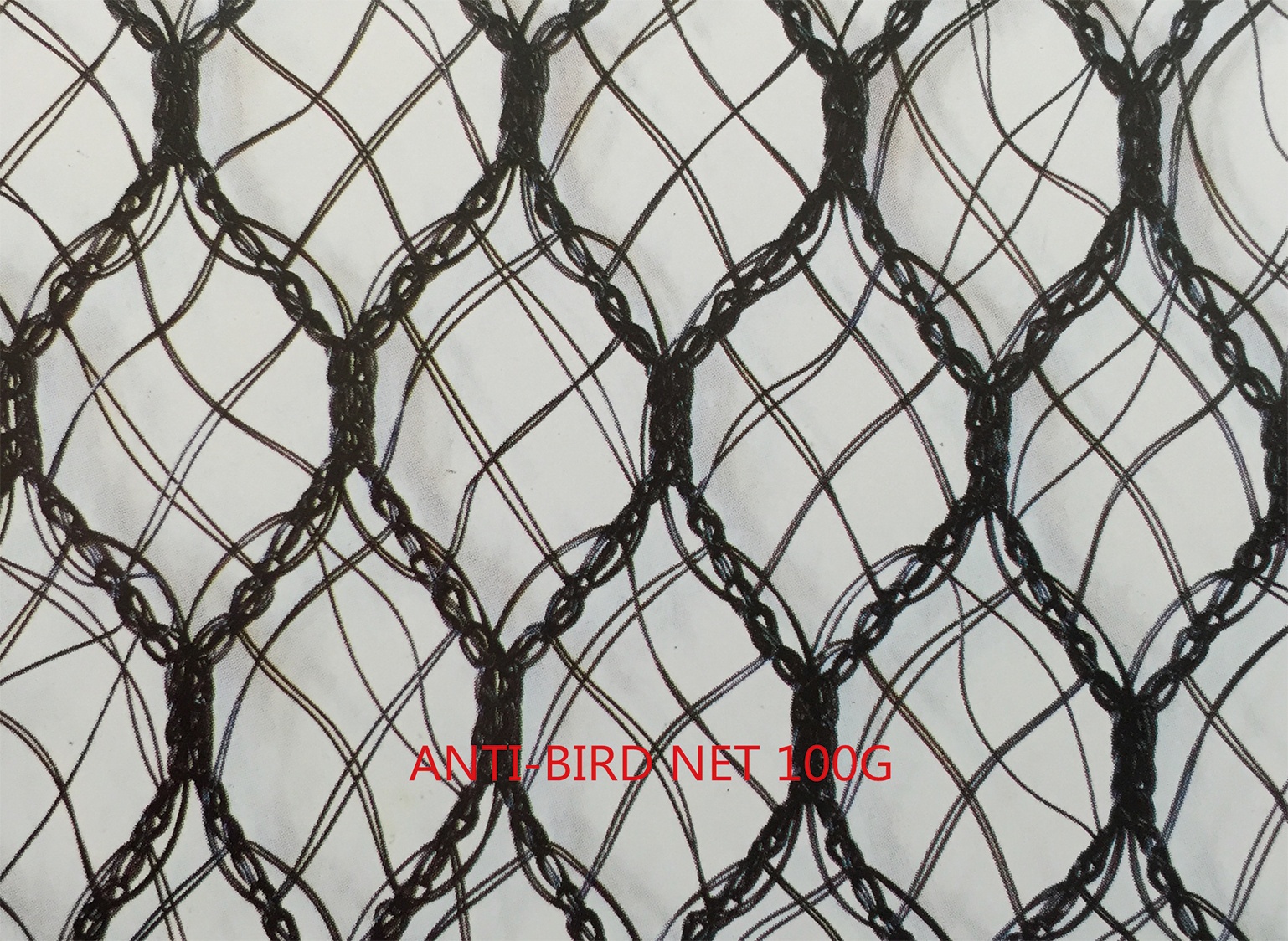 Anti-Bird Net
