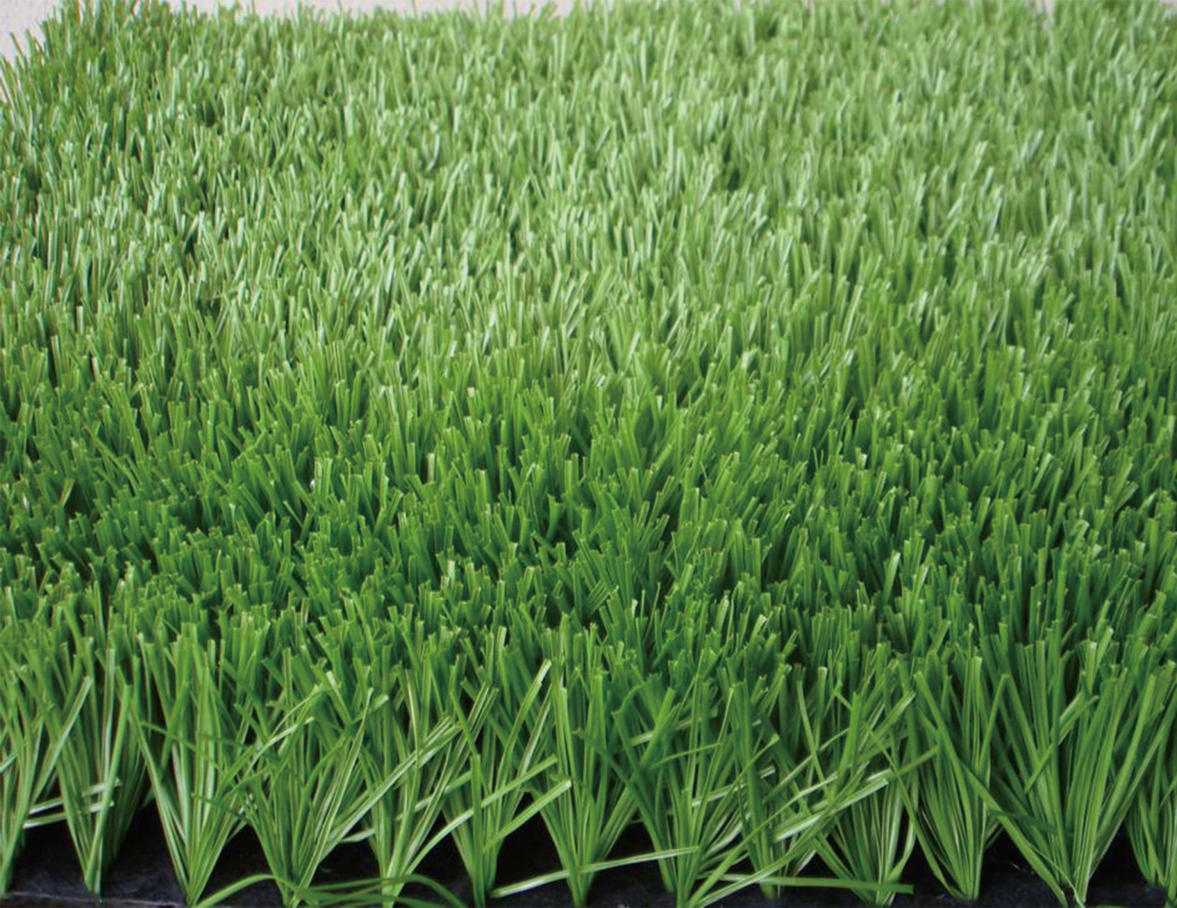 Artificial Grass
