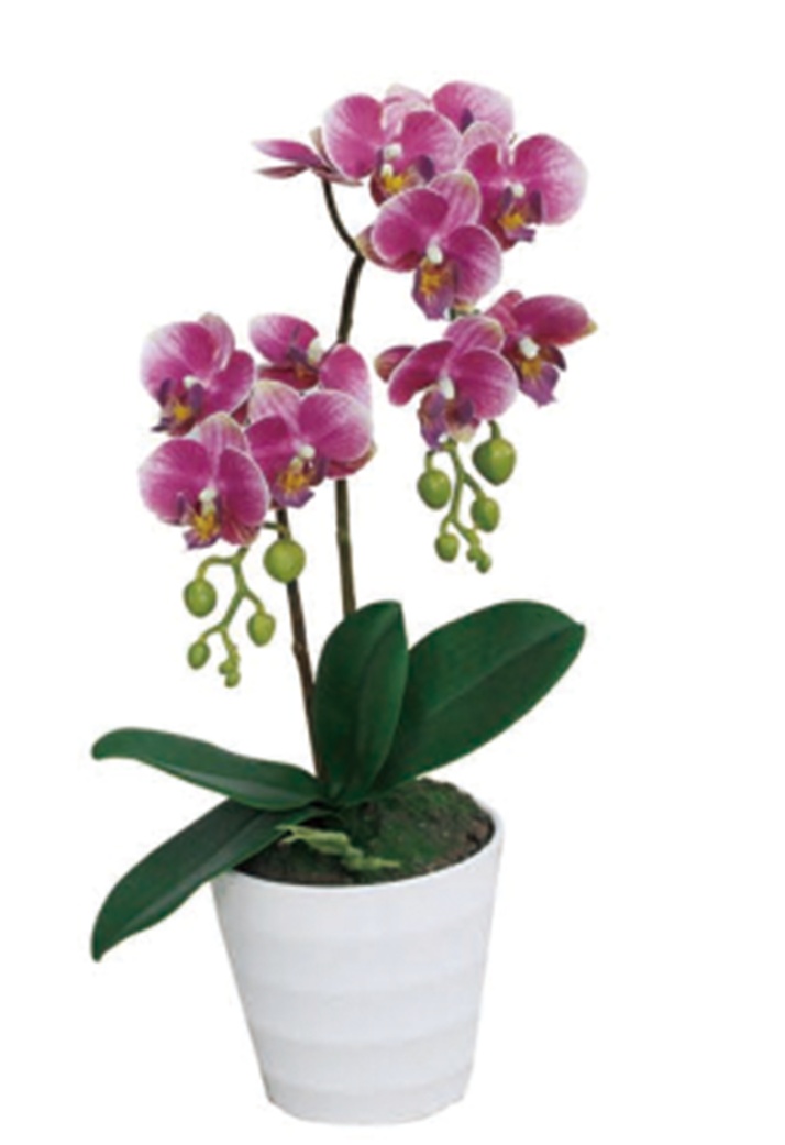Artificial Plant
