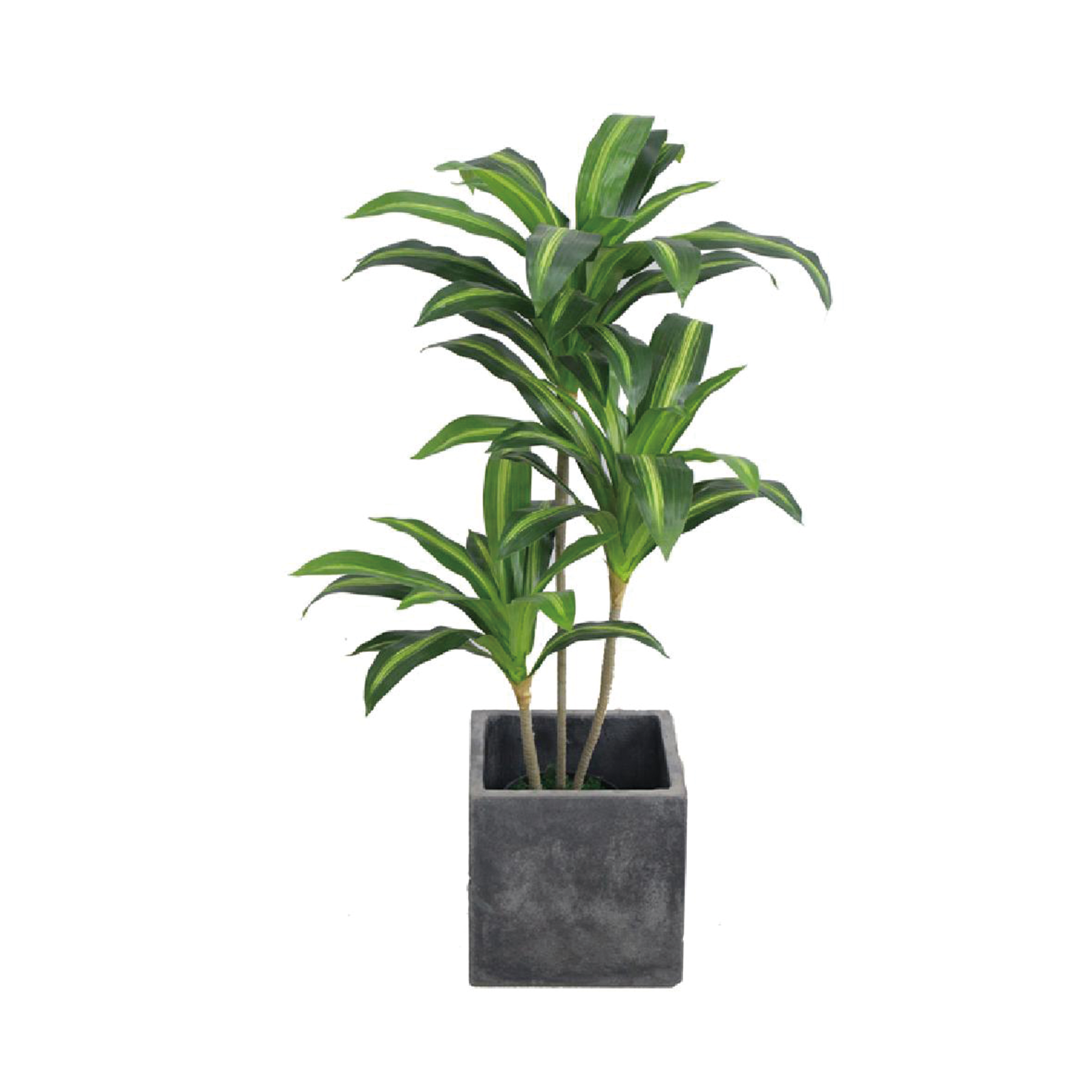 人造植物02